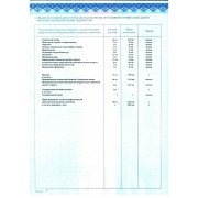 Приложение к Диплому рдинатура Детство_00002