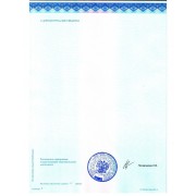 Приложение к Диплому рдинатура Детство_00004