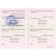 ДАГ - СПМАПДО - 2011 - сертификат - хирургия