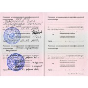 ДАГ - ТГМА+ВМА - 2004+2009 - сертификат - терапия