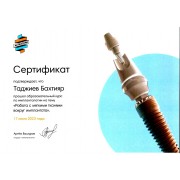 Сертификат 17.06.23 (1)