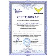СЮВ - DSG - 2013 - сертификат - успешная