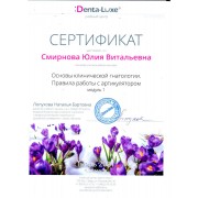 Сертификат СЮВ 2