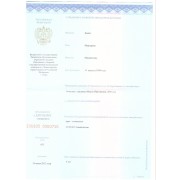 диплом вложение