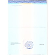 Диплом об окончании ординаторы 4