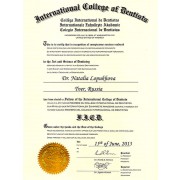 2013 - ЛНБ - ICD