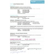 ЛНБ - VieSID - 2019-2020 - программа курсов
