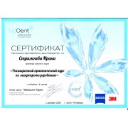 sertificate-Strizhneva-SU