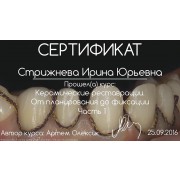 СИЮ - Олексик - 2016 - сертификат - керамика 1
