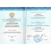 ШКГ - СПГЭУ - 2013 - диплом - экономика