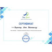 Сертификат БИП 3