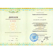 2013 - ТВМ - Диплом