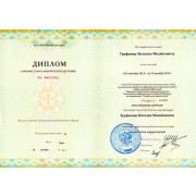 2013 - ТВМ - Диплом