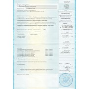 ВОА - ТГМА - 2009 - диплом - лицо