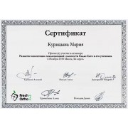 2018 - Сато - рзвитие концепции
