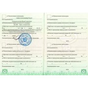 Свидетельство Мачкова А_Б_ 2